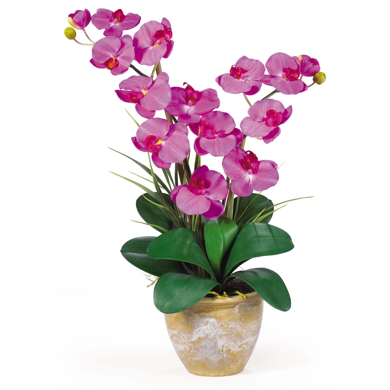25" Double Phalaenopsis Silk Orchid Flower Arrangement in Ceramic Pot